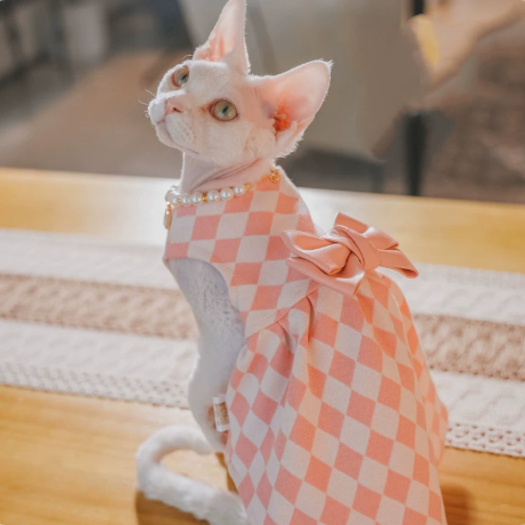 Sans cheveux Cat Devon Cat Kitten Vêtements British Style Robe