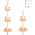 6-Piece Cake Stand et Rod Set pour les gâteaux et les pâtisseries— Décorations partielles