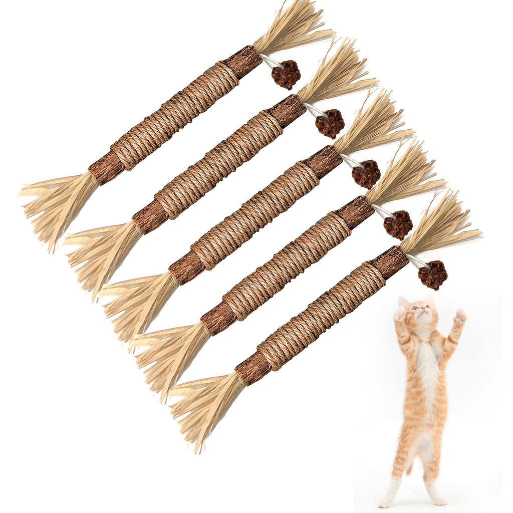 Silvervine Sticks Cat Chew Jouets pour les chats intérieurs soins dentaires nettoyage des dents