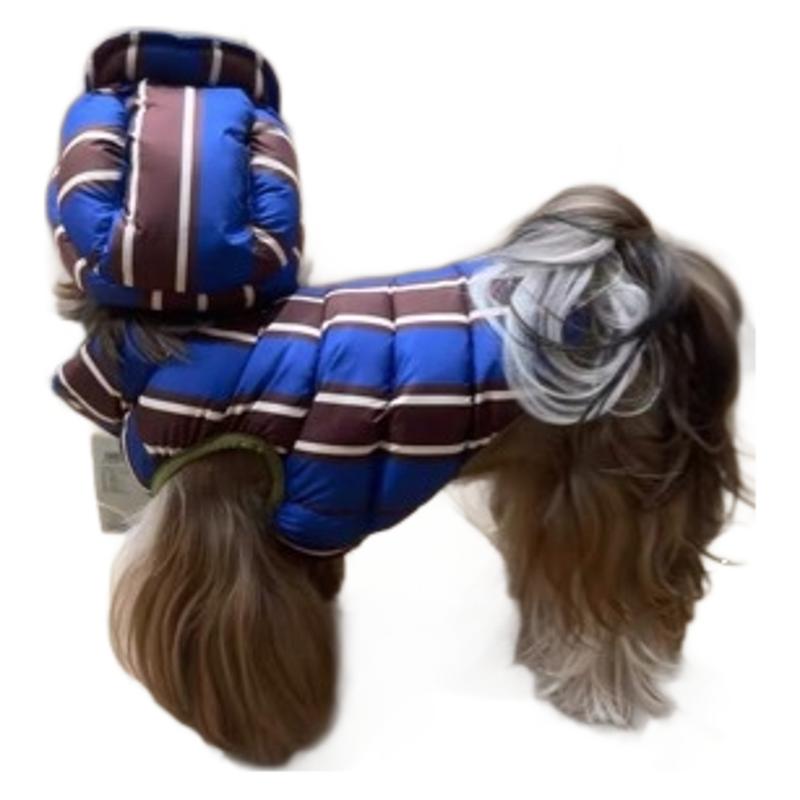 Mignon et chaud en coton rembourré avec un chapeau pour chiens et chats