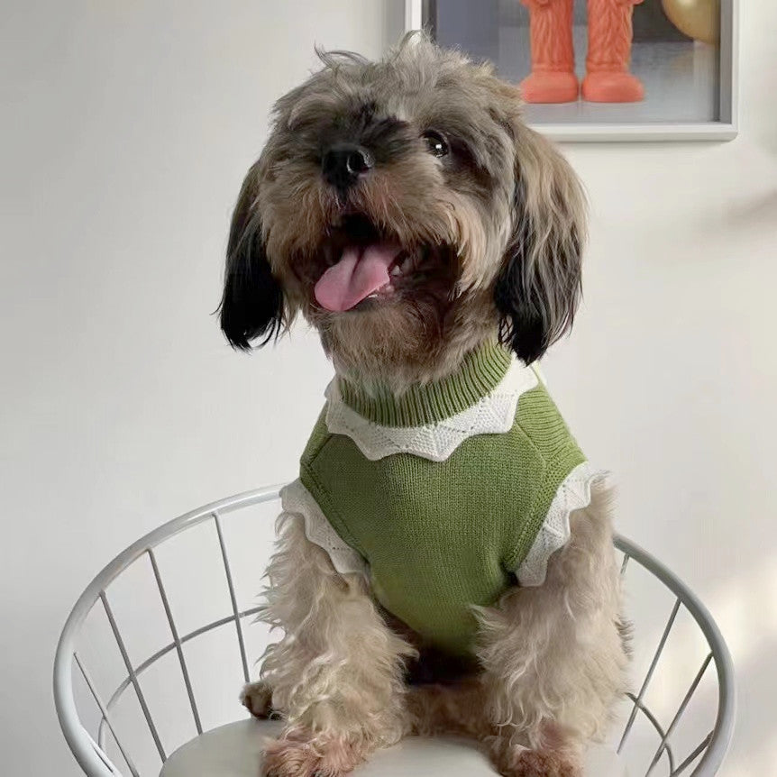 L'automne et l'hiver chaud et confortable Chandail de chien vêtements chat vêtements fleur Blossom