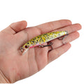 Luya Bait Fishing Suppliesait Simulation Pas de Peeling Peinture