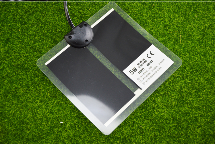 Shi Wang Ant House Kunming-worm Pad de chauffage