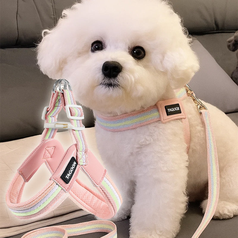 Harnais de laisse de chien respirant Set coloré Rainbow Contrast Design pour petits à moyens chiens
