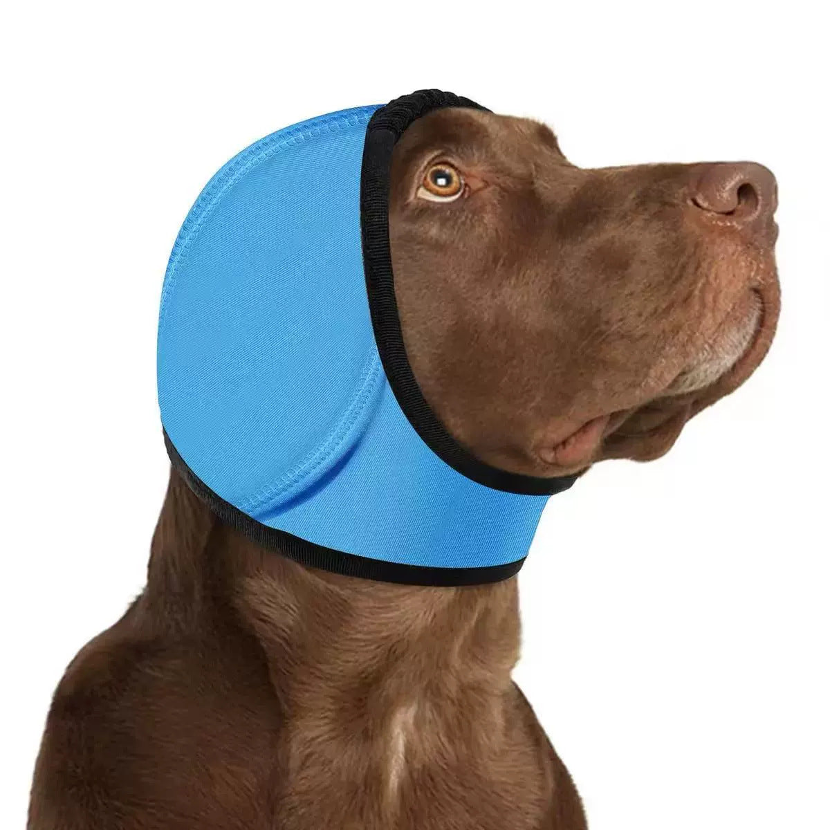 Enveloppe tête de chien - oreilles silencieuses pour l'anxiété