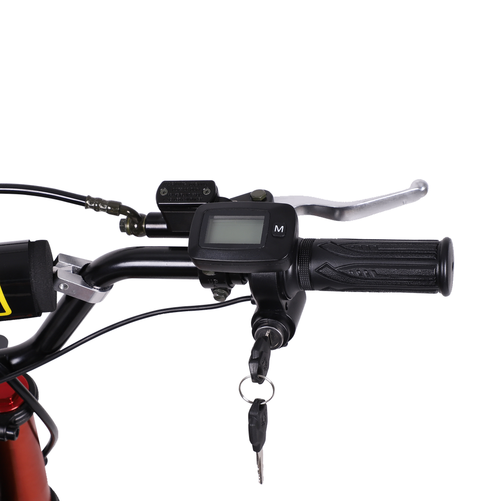 Moto électrique M14 48V 30Ah 3000W avec 22 Mph