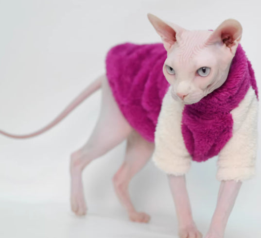 Cat Vêtements Automnehiver peluche chaud