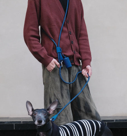 Pet Leash Hands-free Cross-body Waist-worn Multi-fonctionnel