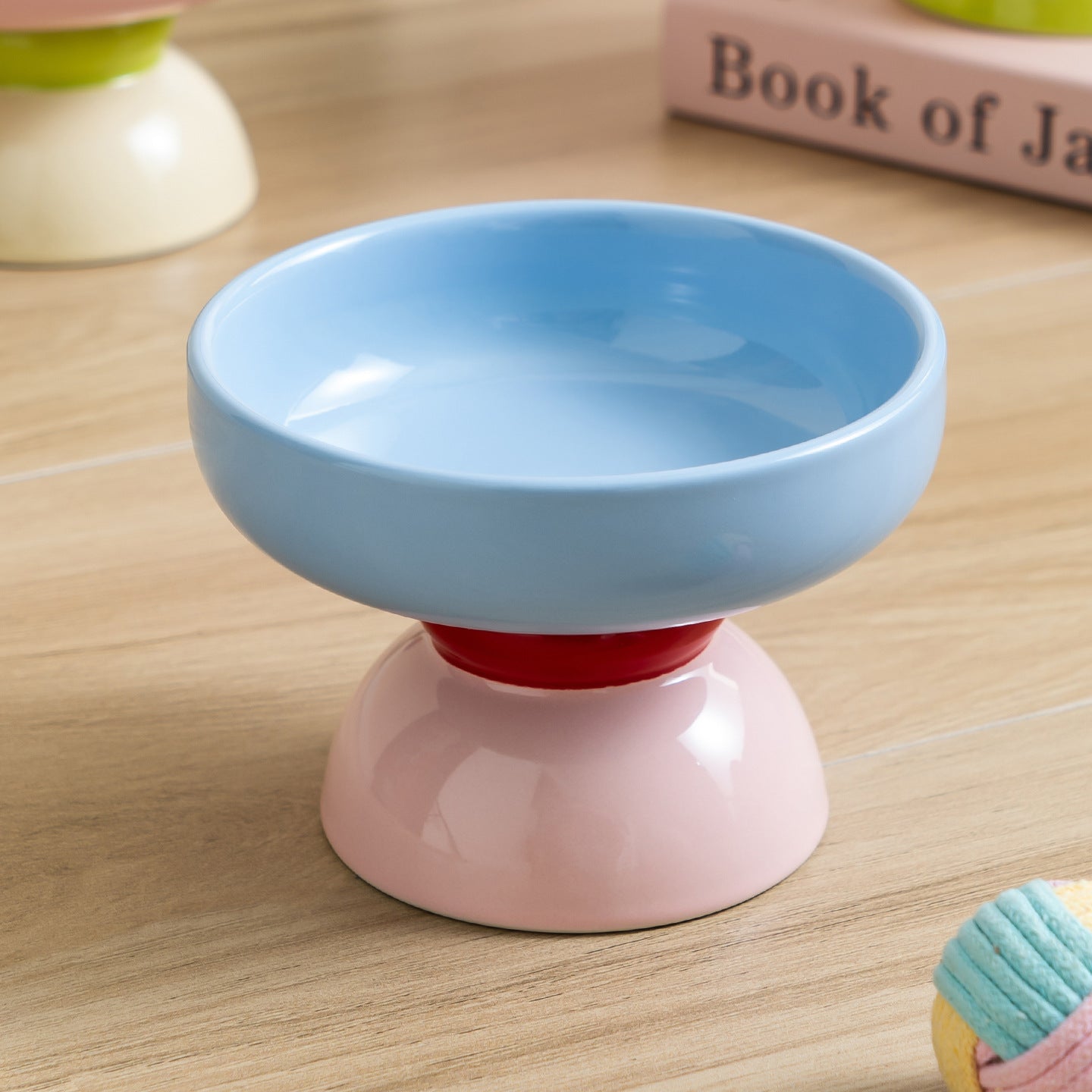 Macaron Color-Block Ceramic Élevé Pet Bowl