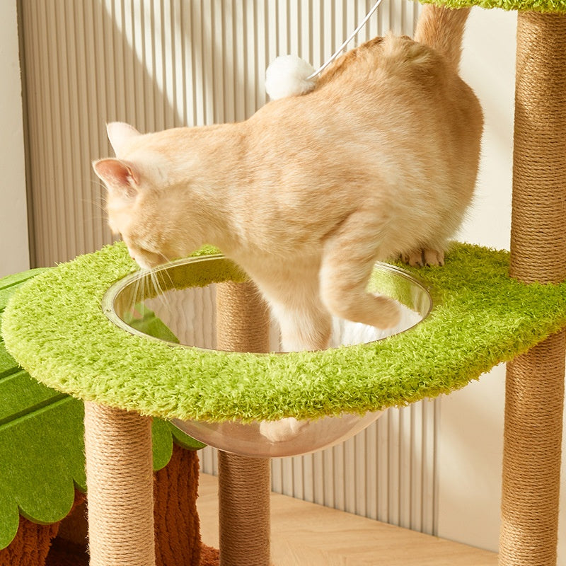 Quatre saisons tout en un arbre de chat avec construit dans lit de chat