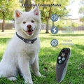 Appareil d'entraînement à distance 2-en-1 pour chien.
