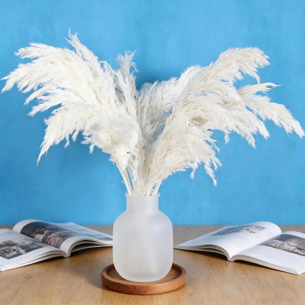 20 Pampas beige décor d'herbe