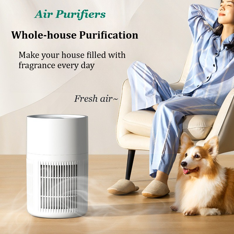 Accueil Purificateurs d'air pour une grande chambre Médical Grade HEPA Purificateur d'air Fumer Odor Pet