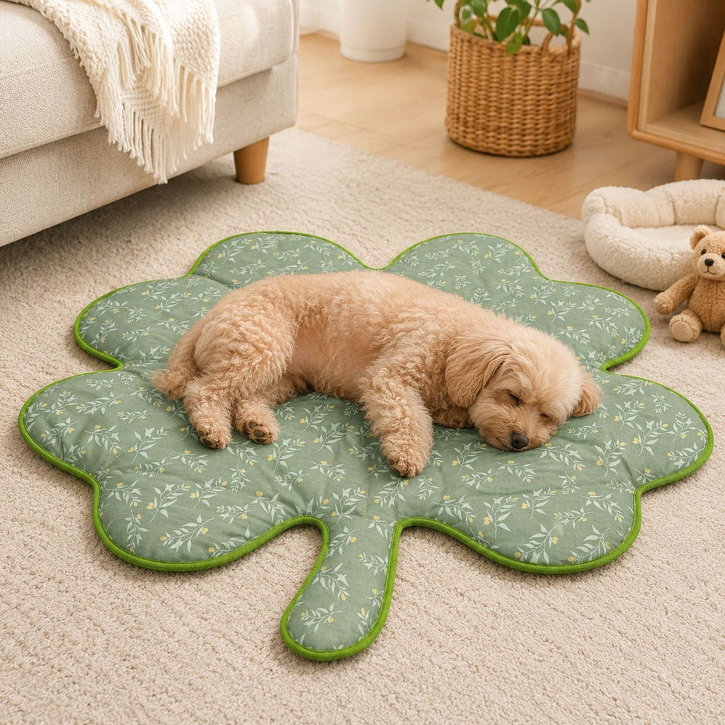 Tapis pour chats