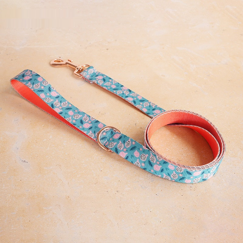 Fruits-imprimé Pet laisse Nylon durable laisse avec boucle métallique