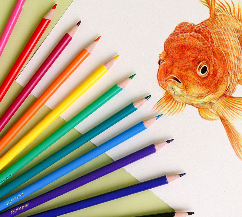 24 Creative Color Lead Set Training Organization