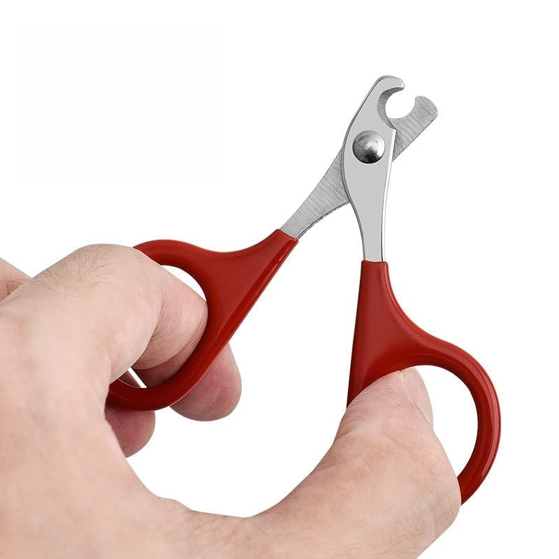 Pince à ongles pour animaux de compagnie Petite et moyenne taille