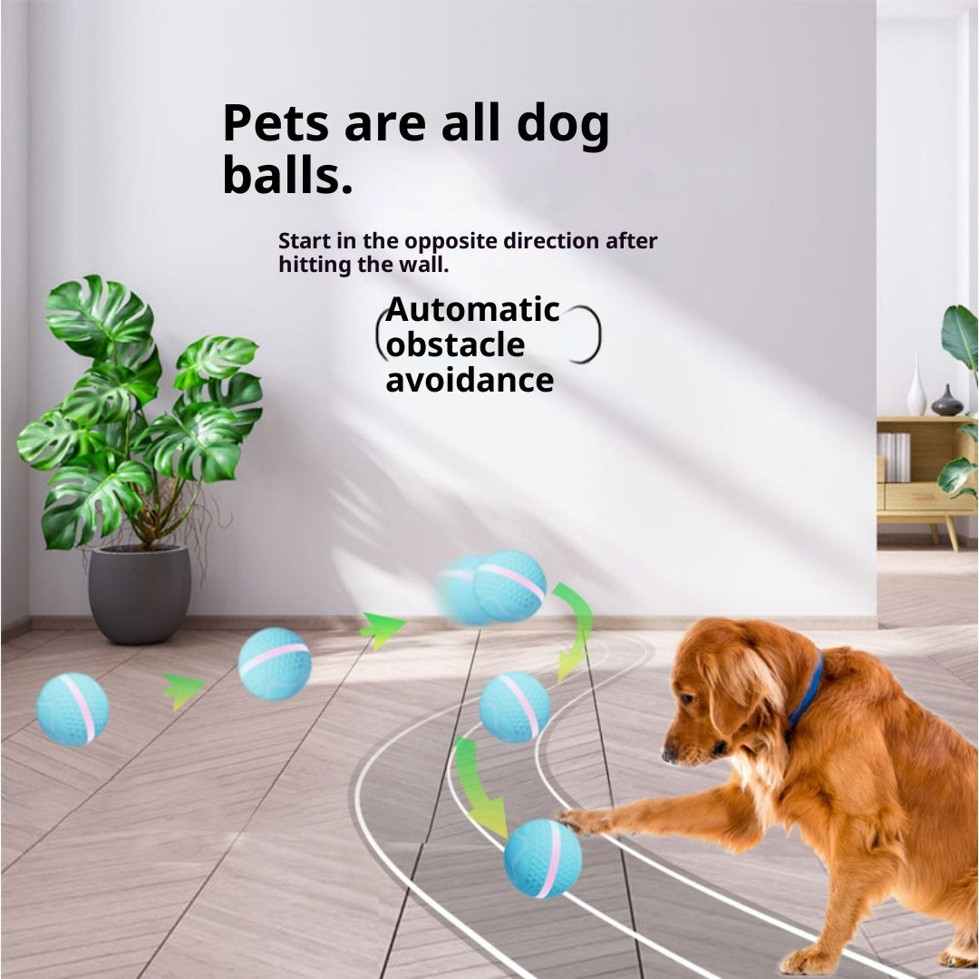Jouet de chien de boule électrique lumineux et de chat
