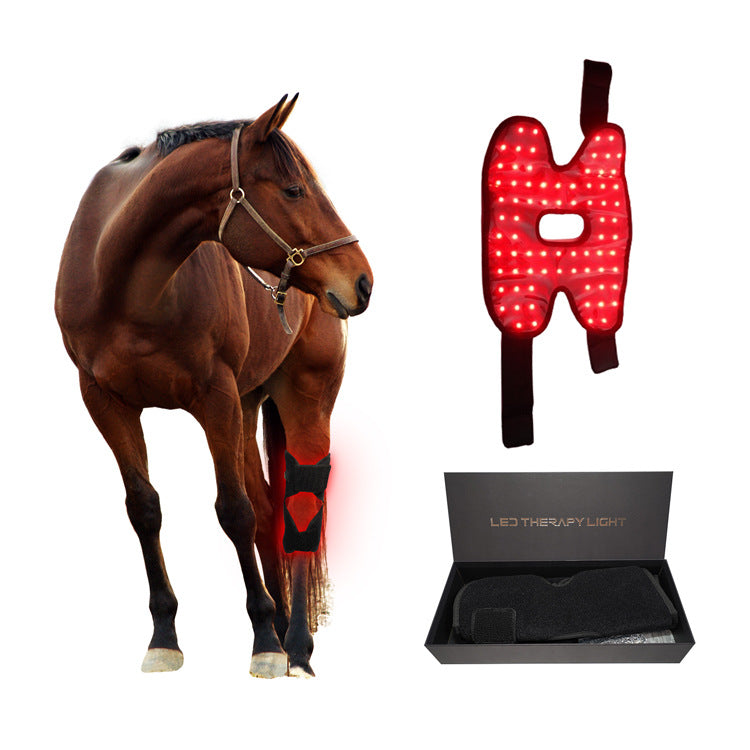 Instrument de photothérapie portable pour récupérer le genou arrière du cheval