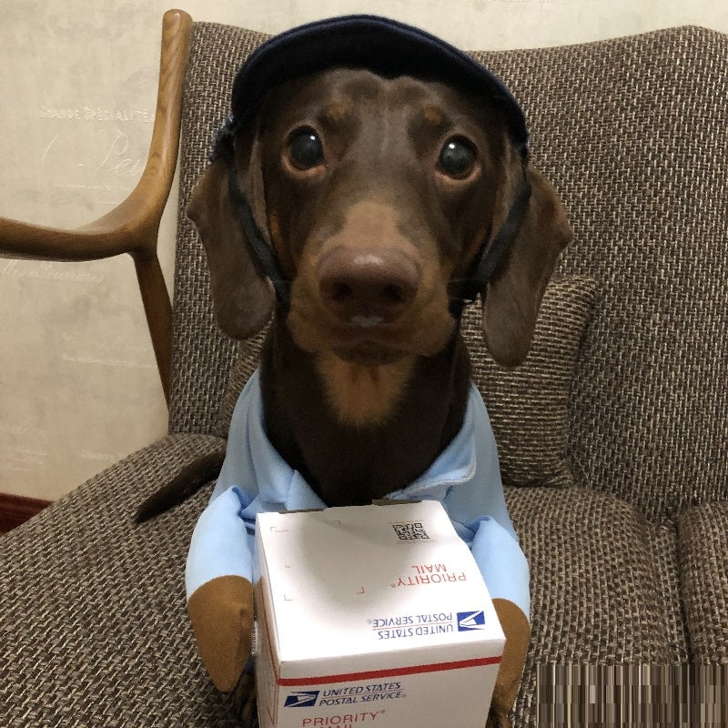 Chien Express Costume de chien Petit chien Vêtements d'Halloween