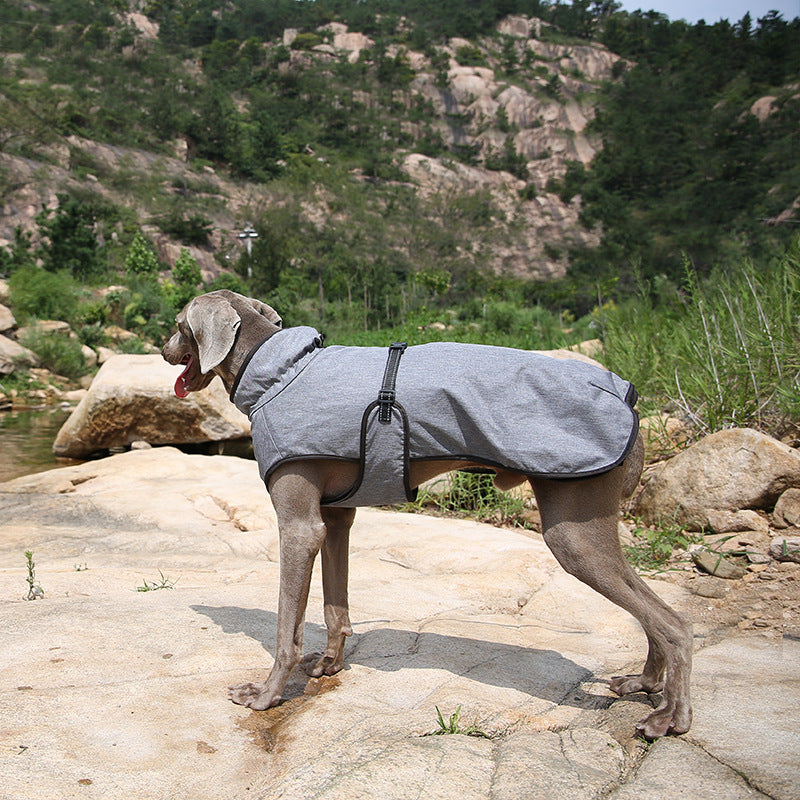 Pet Shell Veste Dog Hiver En plein air Costume de ski