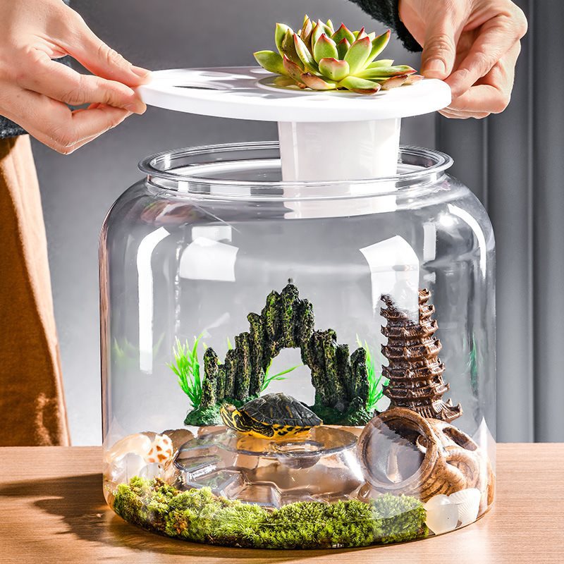 Transparent plastique bureau écologique aménagement paysager alimentation réservoir de poisson