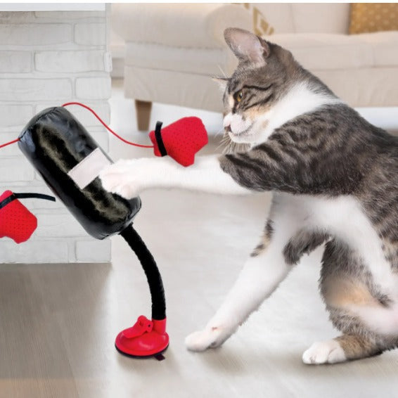 Portable Cat Punching Bag Toy Interactive Indoor Cats Kitten Toy with Gants Cat Toy for K