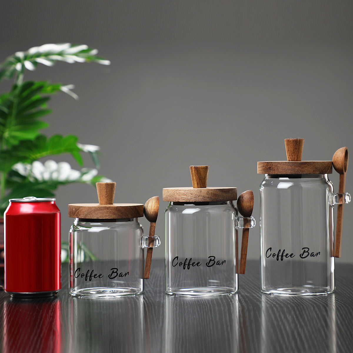 1 Pcs 15 OZ Pots de café en verre avec cuillères
