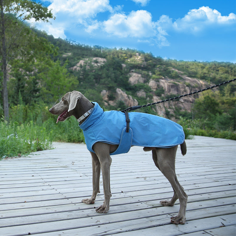 Pet Shell Veste Dog Hiver En plein air Costume de ski