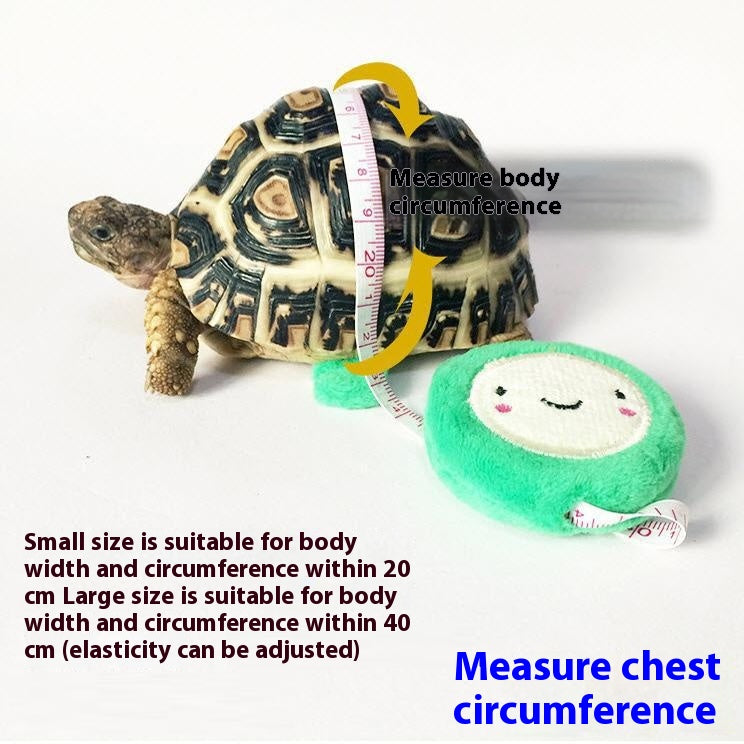 Sangle de traction de la tortue Pet Veste réglable