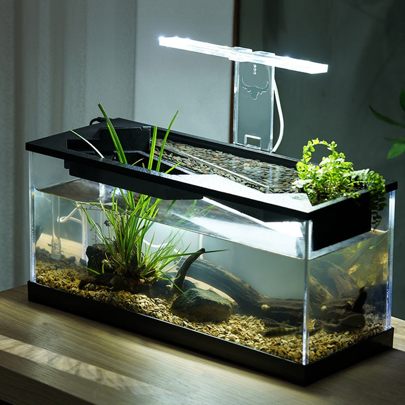 Filtre acrylique Chauffage circulaire Éclairage Aquarium Lazy intégré
