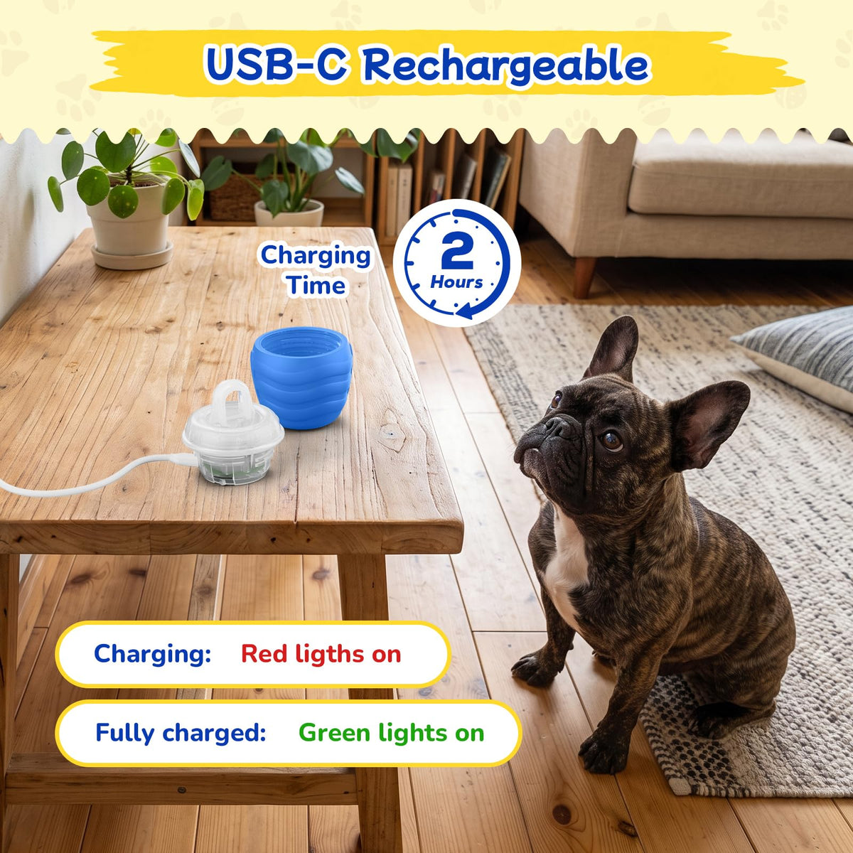 Jouets interactifs pour chiens