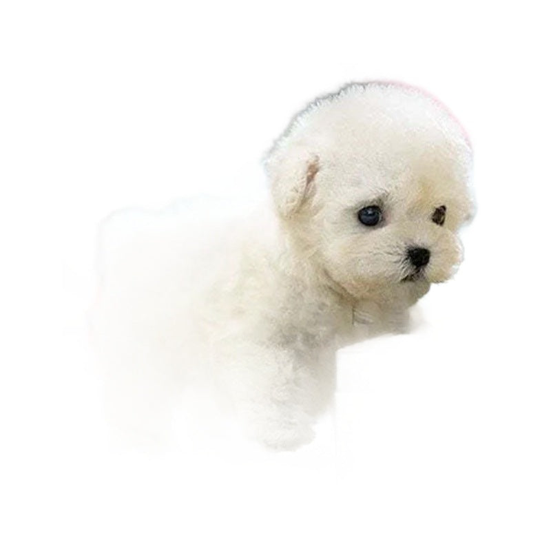 Robot Puppy Poupée en peluche courte