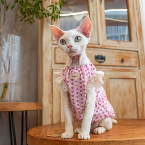 Sphynx Cat robe de coton d'été avec coeurs et vêtements de dentelle pour chats sans cheveux Devon Rex