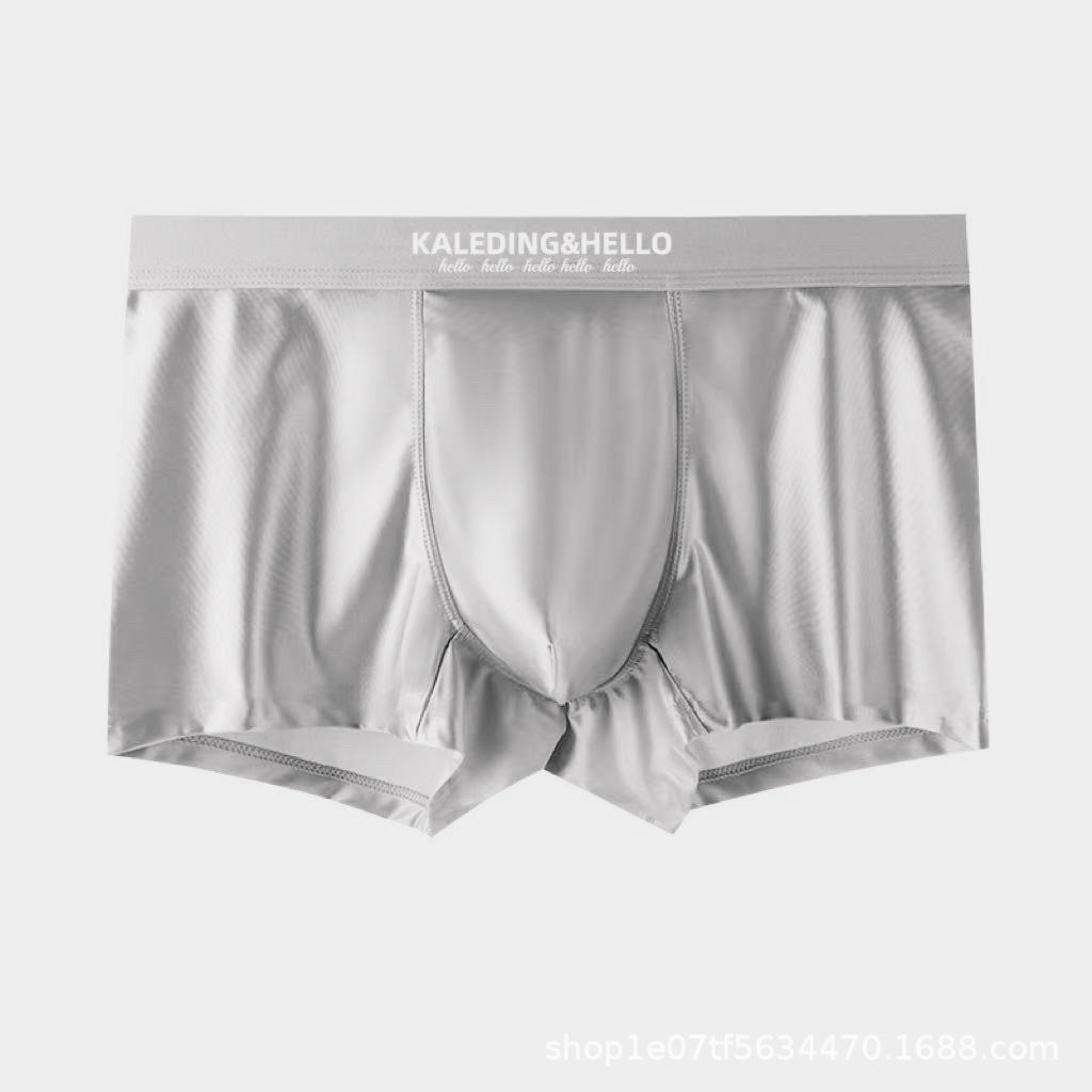 Satin Ice Silk Hommes Sous-vêtements