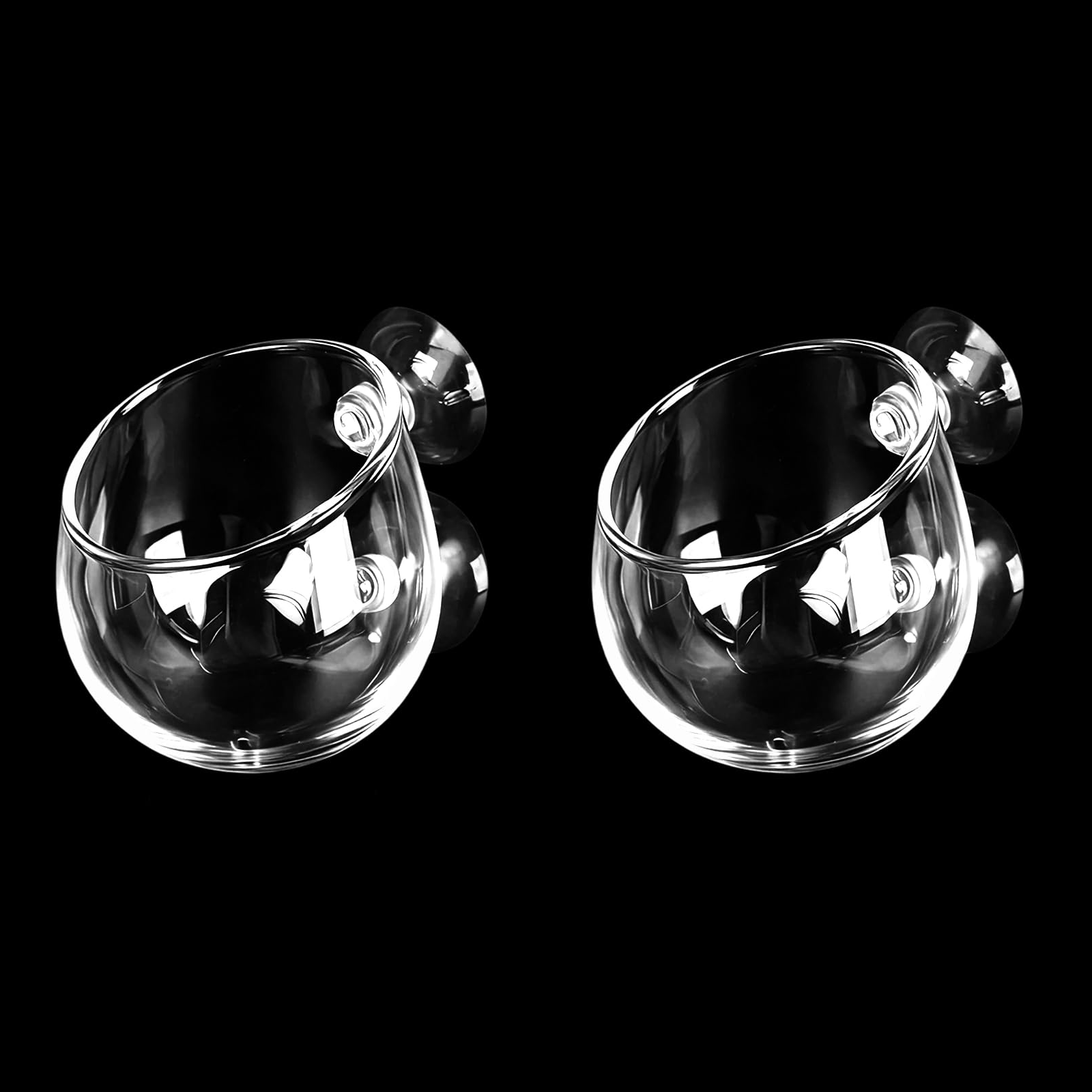 Pot en verre Aquarium pour la décoration