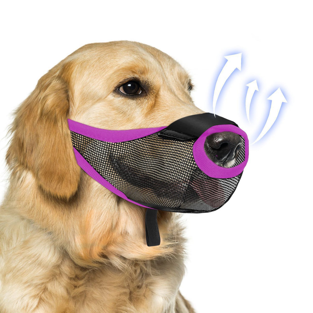 Muselière de chien Mesh Respirant Masque de chien Sécurité Muselière de chien anti-trangle Anti-Barking Anti-Bite