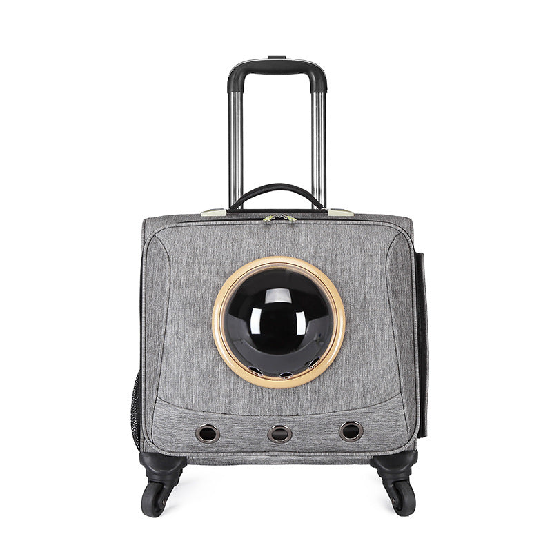 Transporteur universel pour animaux de compagnie