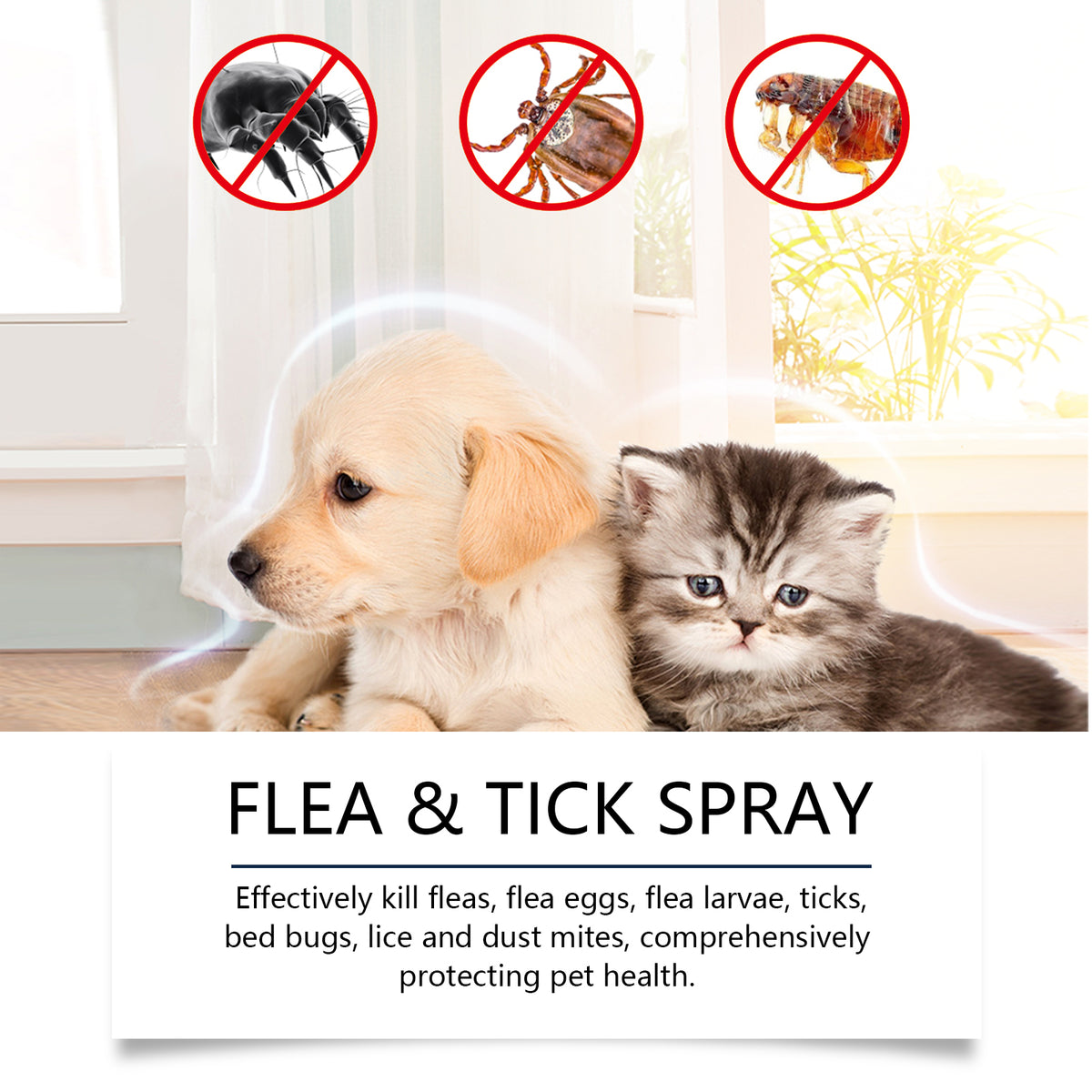 Spray naturel pour chiens et chats