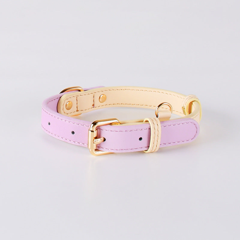 Collier en cuir pour chiens de taille petite et moyenne