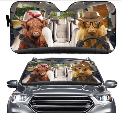 Voiture Sun Shield Arrêt avant écran solaire Chaleur Isolation Non-punching Rideau télescopique