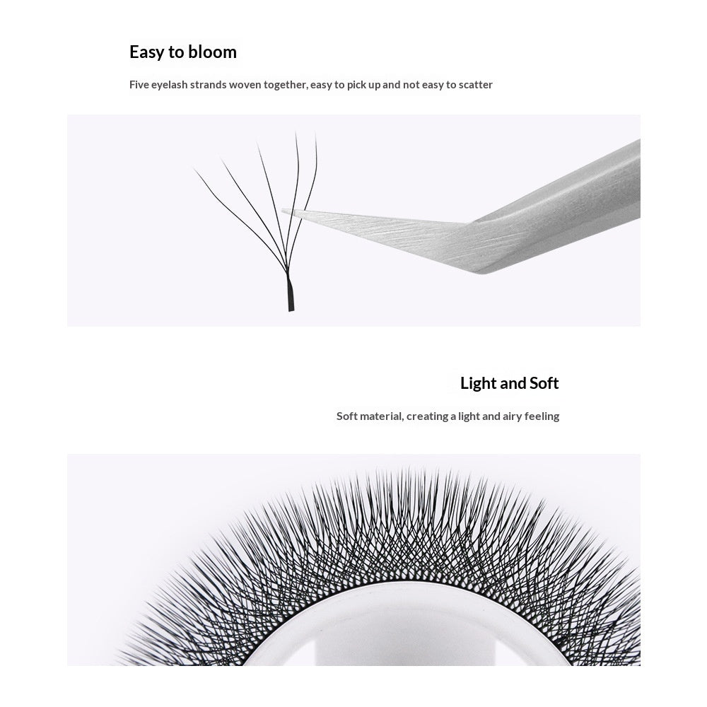 Extension 5D Lash avec boost de volume et Barbie-Look Curl