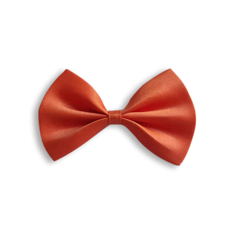 Collier pour animal de compagnie en couleur solide simple