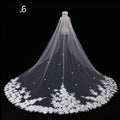 Mariée Mariage Maître Veil Long Tail
