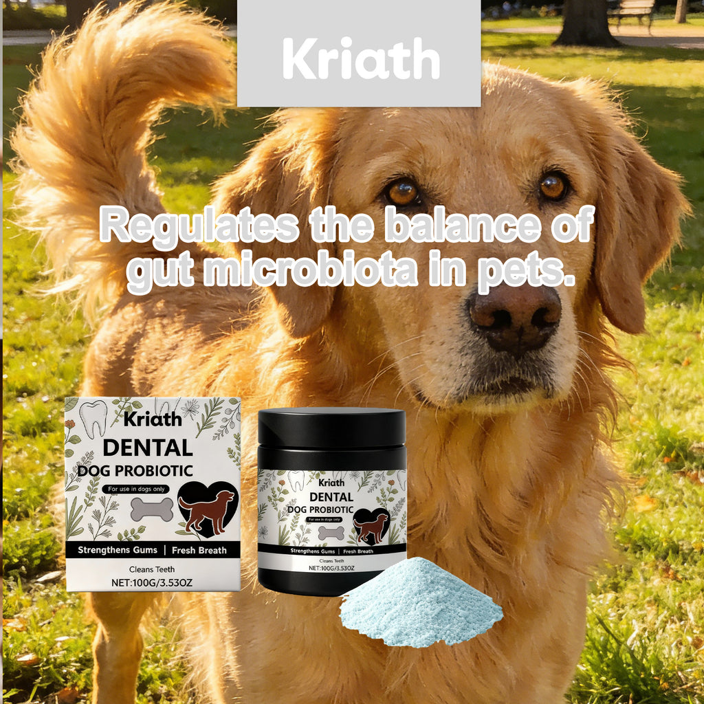 Supplément en poudre pour soins dentaires pour chiens