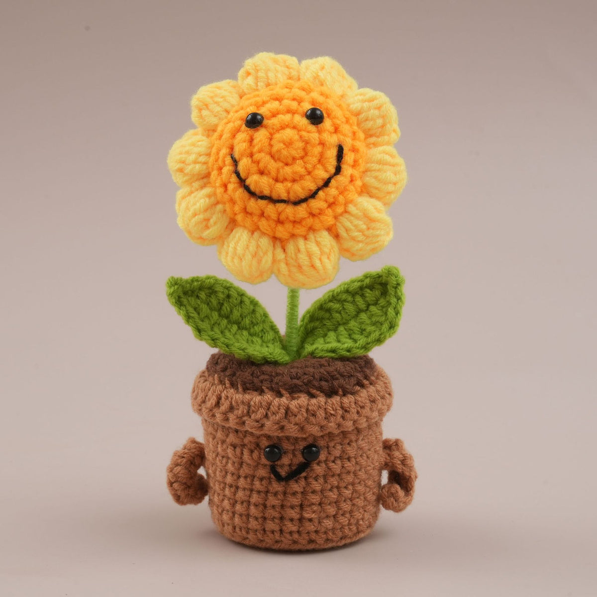 Pot de fleurs de laine et ornement floral