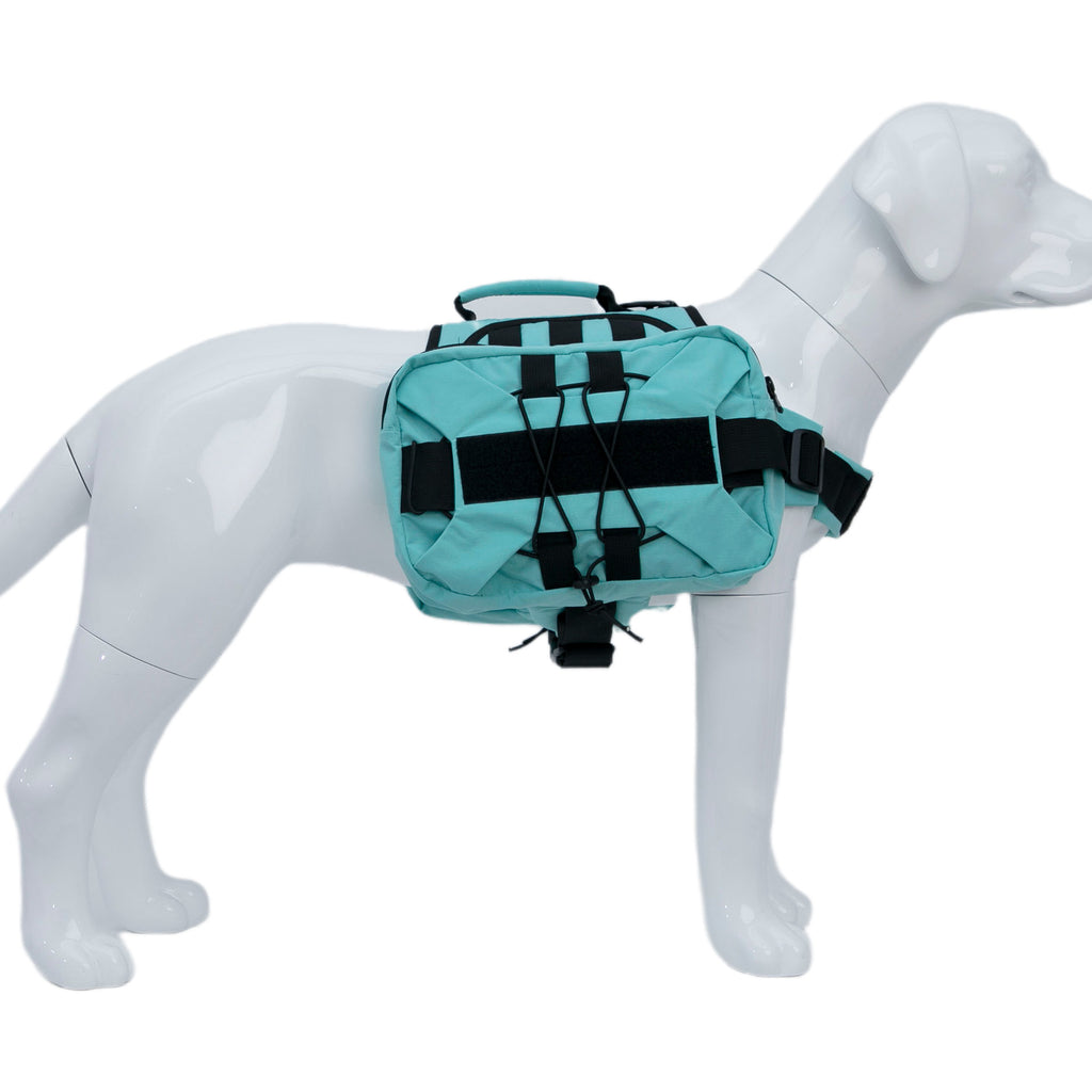 Sac à dos pour animaux de compagnie multifonction avec paillettes