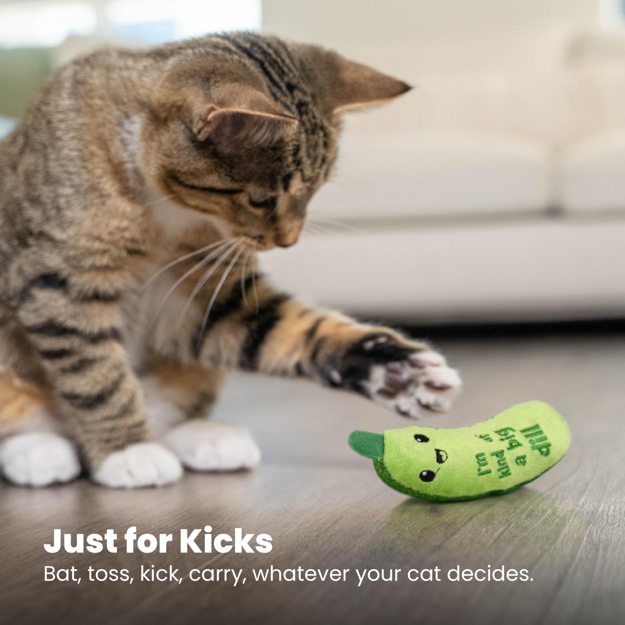 Jouet de chat de kicker de cornichon - Jouet de friandises en peluche Et mesh dentaire