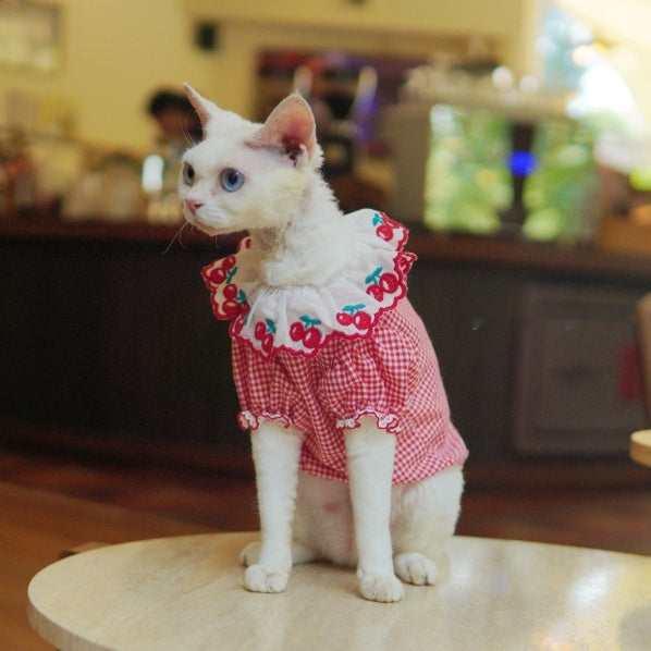Sphynx Cat Rouge et Blanc Robe de coton d'été avec cerises Collier Dentelle Vêtements légers