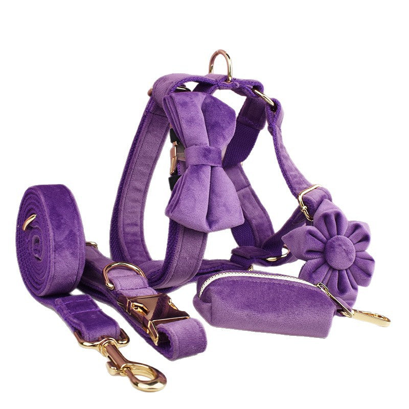 Collier de chien en peluche et fournitures pour animaux de compagnie en laisse